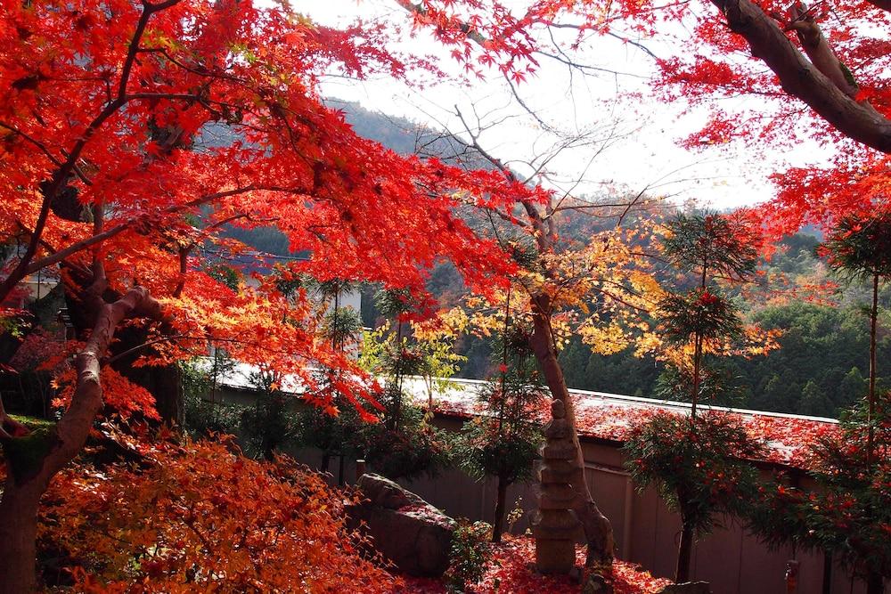 Ryokan Nenrinbo Hotel Kyoto Exterior photo